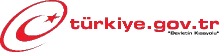 e-devlet onaylı