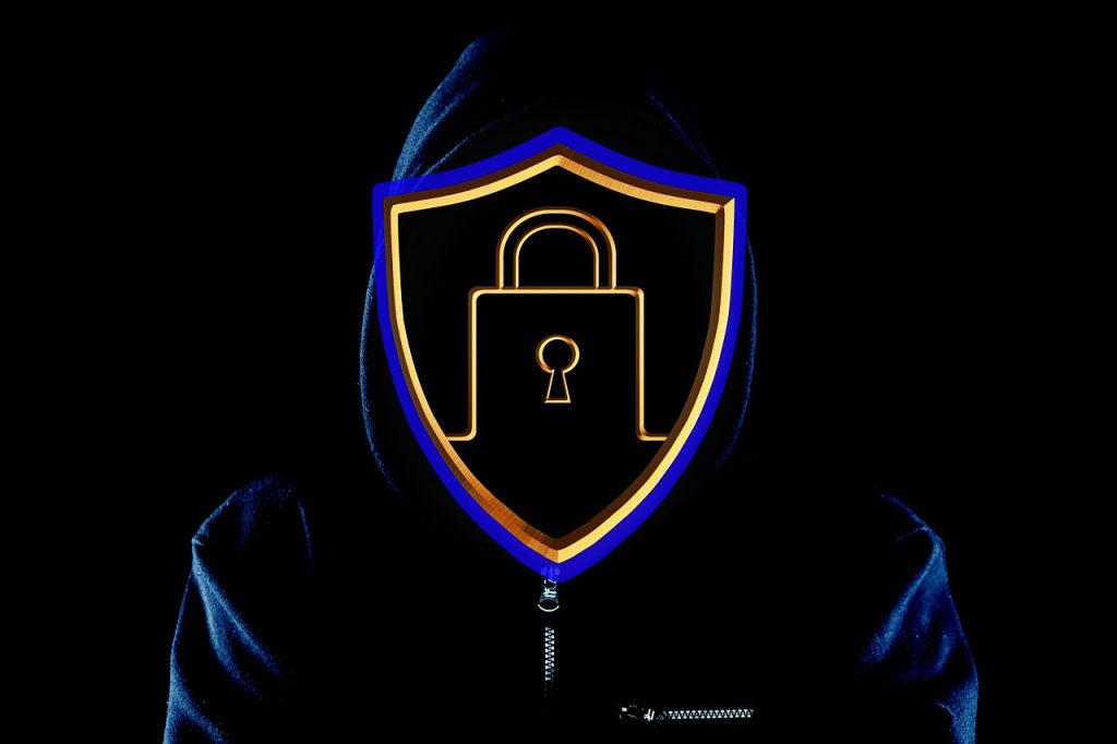 security, internet, crime-4700819.jpg