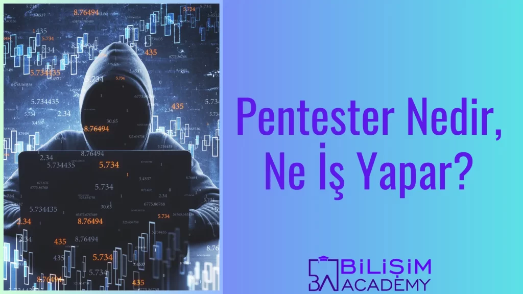 Pentester Nedir?