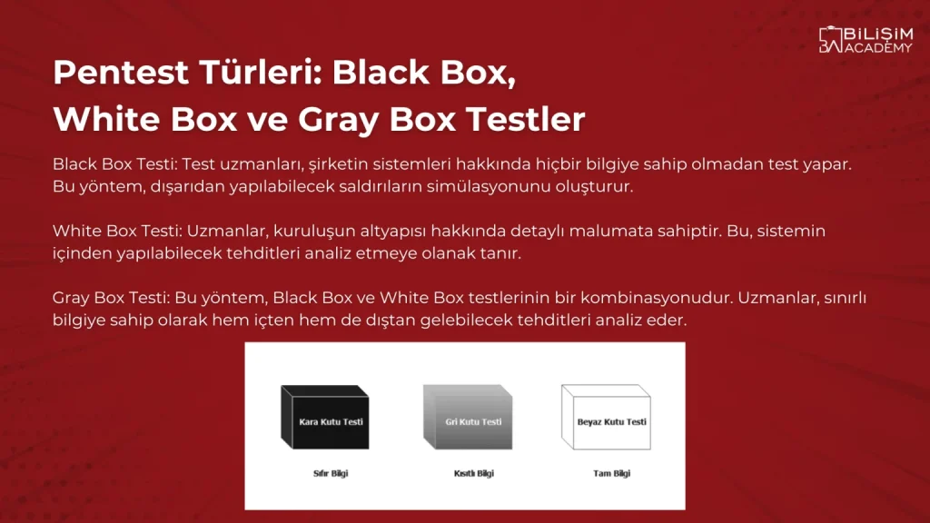 Pentest Nedir? Şirketler İçin Kritik Güvenlik Testinin 5 Faydası