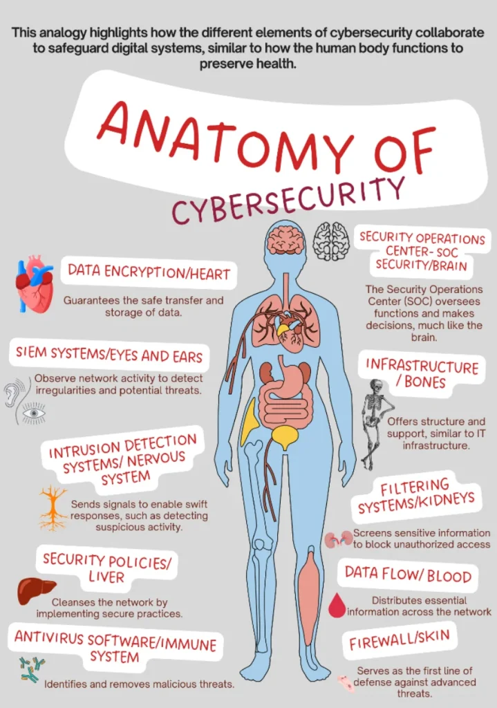 Siber Güvenlik Anatomisi