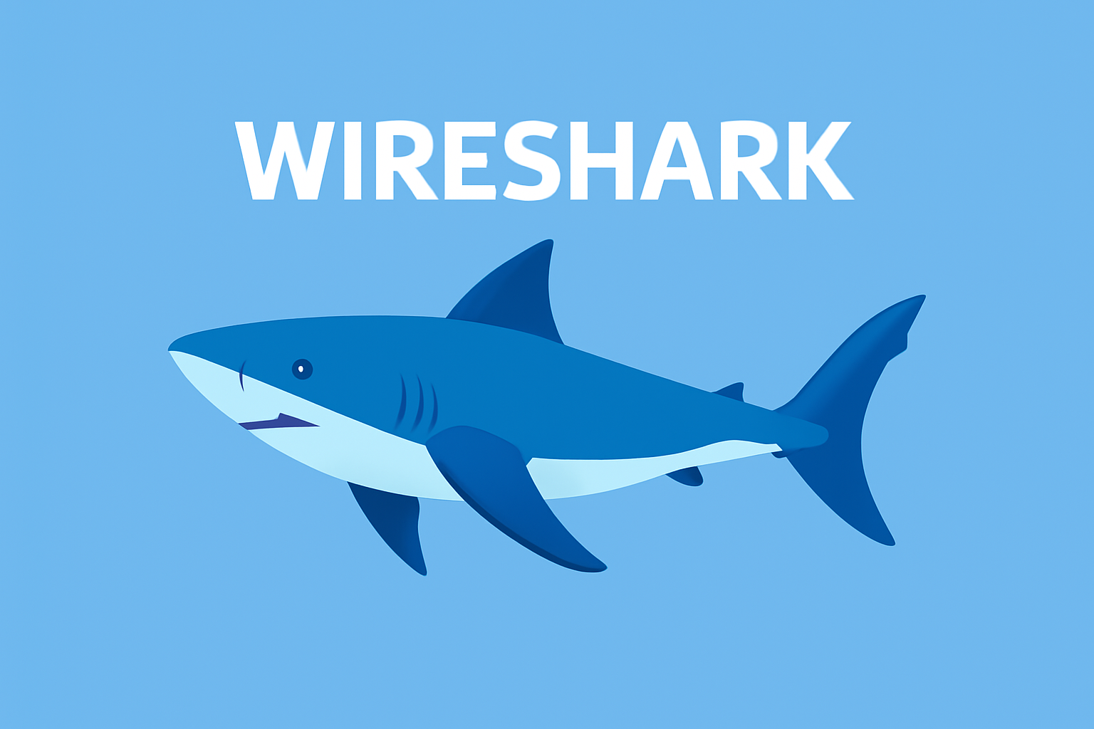 Wireshark