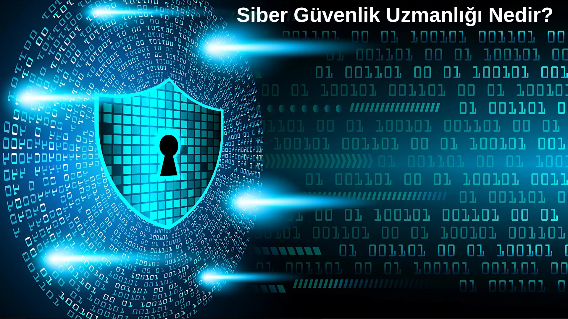 Siber Güvenlik Uzmanlığı Nedir? 2025’in Yükselen Mesleği